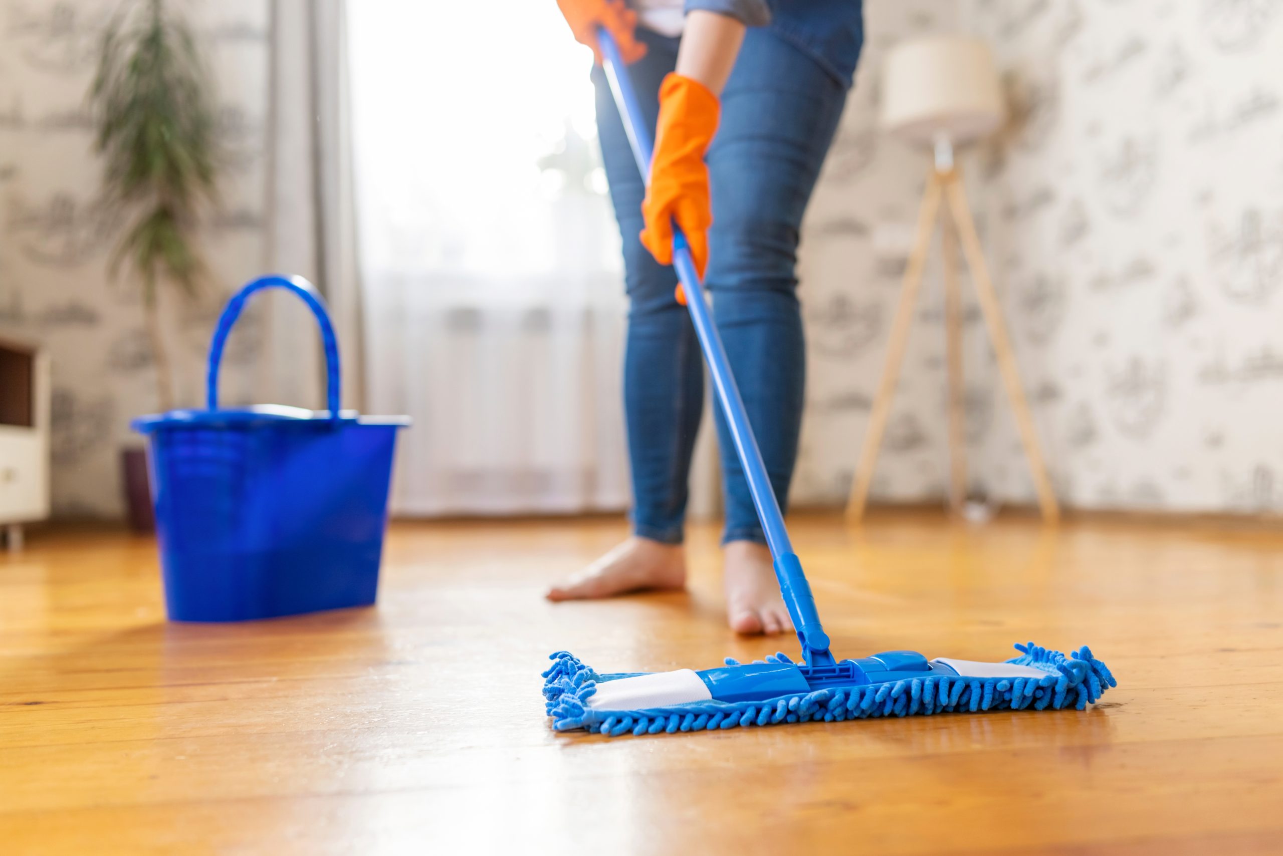 Homeowner cleaning an oak hardwood plank floor after Wood Floor Sanding in Catford, keeping the restored surface looking fresh.